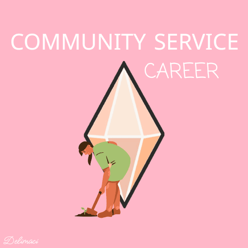 Community Service Career